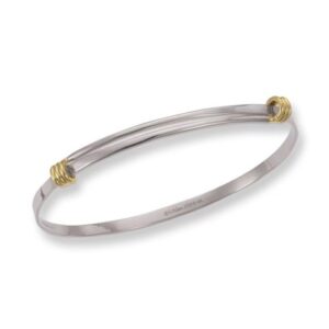 silver ring with gold additions on the sides